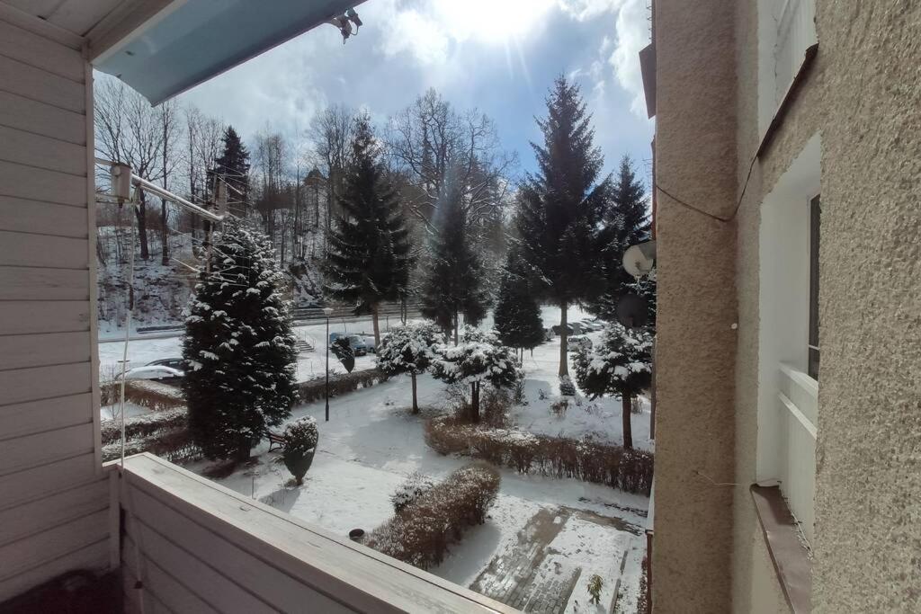 Apartament Za Rogiem Papierni Душники-Здруй Экстерьер фото